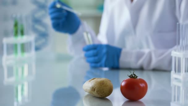 Tomate fresco y patata en mesa de laboratorio, trabajador inspeccionando la calidad nutricional — Vídeo de stock