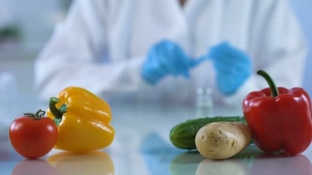 Verduras frescas en mesa de laboratorio, investigador analizando la calidad de los alimentos modificados — Vídeo de stock