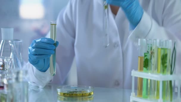 Trabalhador de laboratório derramando tubo de ervas líquido químico, extrato de perfumaria, cosmetologia — Vídeo de Stock