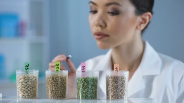 Cientista feminina analisando ervilha grão lupa, inspeção de alimentos orgânicos — Vídeo de Stock