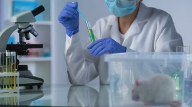 Tüp kimyasal sıvı karıştırma, kozmetik fareler üzerinde test kadın araştırmacı