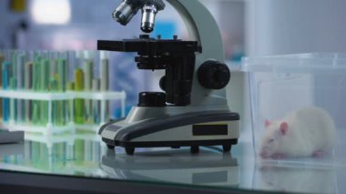 Kadın biyolog laboratuvar örnek, farmakoloji araştırma vasıl mikroskop aramak