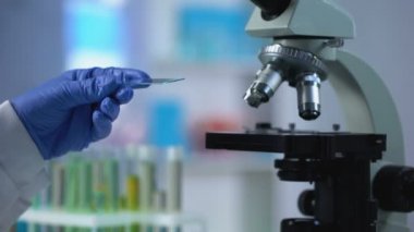 Genetik inceleme, Mikrobiyoloji için kan örneği alarak laboratuvar asistanı