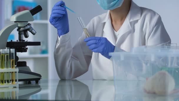 新しい薬で、齧歯動物テストを発見、試験管に試薬を混合の化学者 — ストック動画