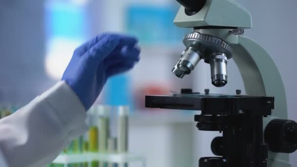 Chercheuse regardant au microscope un micro-organisme, expérience génétique — Video