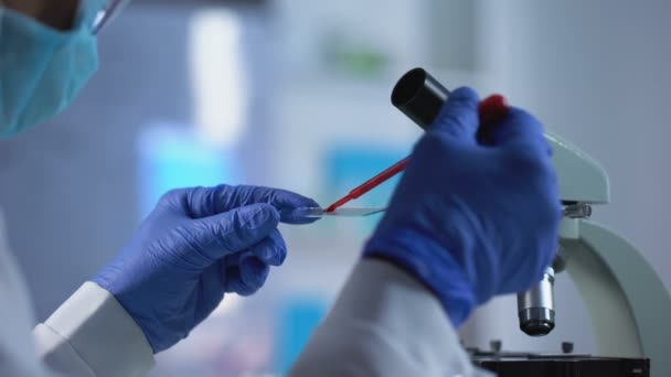 Επιστήμονας προετοιμασία δείγματος αίματος και βάζοντας κάτω από μικροσκόπιο γυαλί, βιολογία — Αρχείο Βίντεο