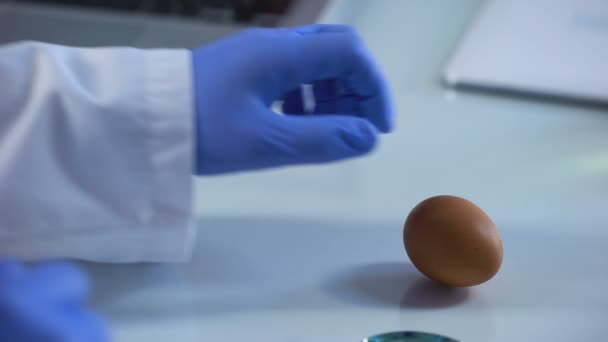 Esperto alimentare esaminando la lente di ingrandimento dell'uovo di pollo, controllo di qualità, approvazione — Video Stock