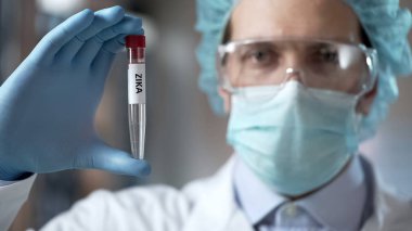 Zika virüsü salgını uyarısı, aşı, hastalık önleme tavsiye doktor