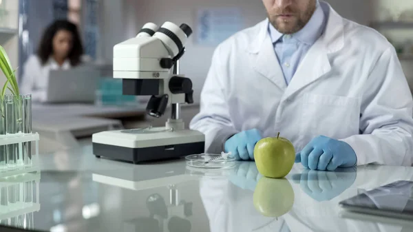 Naukowiec Patrząc Próbki Laboratoryjne Apple Sprawdzanie Reakcji Chemicznej Jakość Żywności — Zdjęcie stockowe