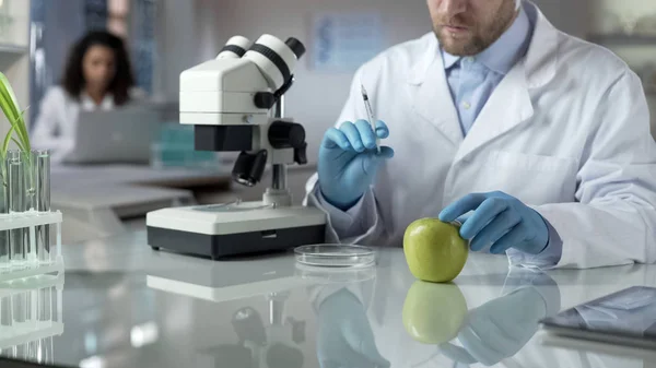 Laborantin Hält Spritze Mit Chemischer Flüssigkeit Zur Injektion Apfel — Stockfoto