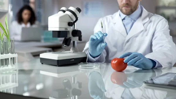 Científico Preparando Jeringa Con Hormona Líquida Para Inyección Tomate Experimento —  Fotos de Stock