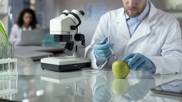 Assistente Laboratório Injetando Maçã Com Porção Pesticida Para Condição Comercializável — Fotografia de Stock