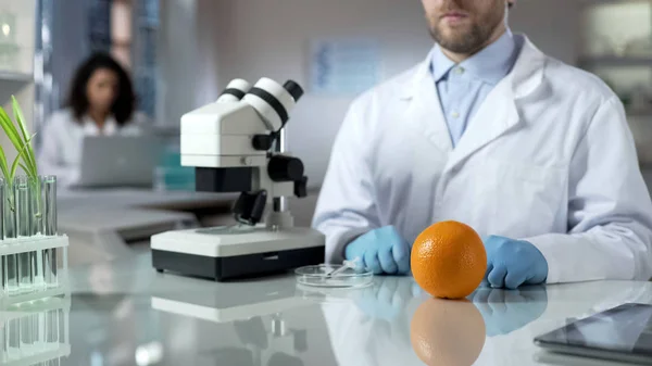 Pesquisador Analisando Amostra Laranja Laboratório Alimentos Geneticamente Modificados — Fotografia de Stock