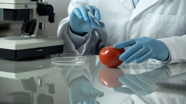 Χημικός Κάνοντας Πείραμα Ντομάτα Δείγμα Επικίνδυνα Συμπληρώματα Ένεση — Φωτογραφία Αρχείου