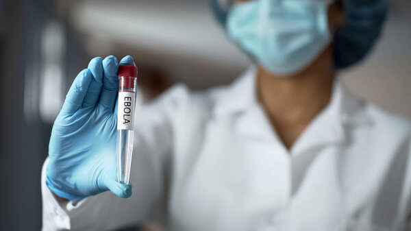 Scientist holding ebola vaccine liquid in test tube, biochemistry experiment