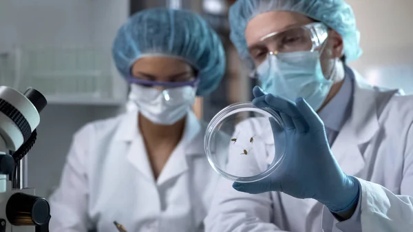 Agronomists Viewing New Plant Type Petri Dish Writing Observations — Stock Photo, Image
