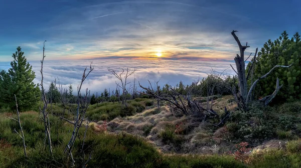 Salida del sol e inversión en la montaña Jested cerca de la ciudad Liberec, República Checa, nieve e invierno y vista del funicular, corales de nieve . — Foto de Stock