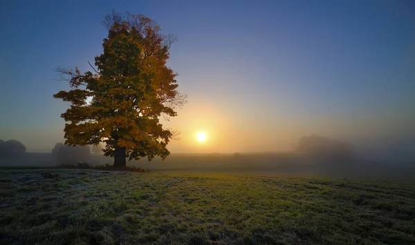 Frostiger Sonnenaufgang Jablonne Podjestedi — Stockfoto