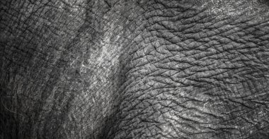 Fil saklama yapısının temsil edildiği arkaplan