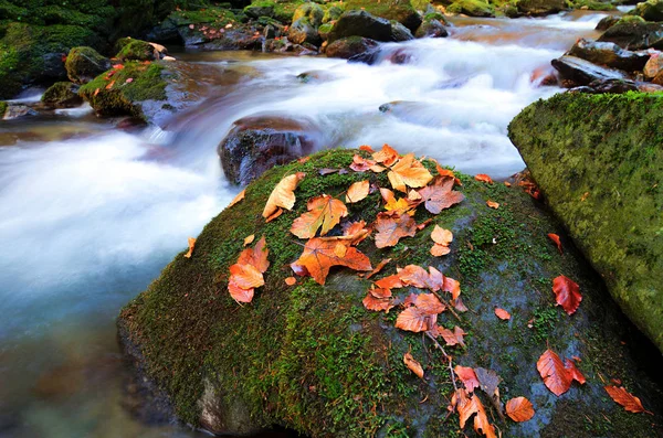 朝の日の出風景秋の森の滝の素晴らしい山の景色 — ストック写真
