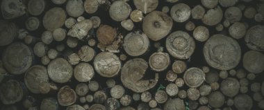 Yuvarlak meşe ağacı kütüğü arka planı, en iyi fotoğraf.