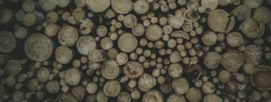 Yuvarlak meşe ağacı kütüğü arka planı, en iyi fotoğraf.