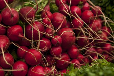 Vejetaryen yemeği de dahil olmak üzere sağlıklı ve sağlıklı salata ve yemek hazırlamak için turp sebzesi.