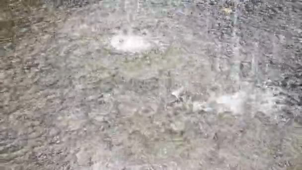 Heavy tropical rain fall on a cement floor on the terrace. — Stock Footage Heavy Tropical Rain Fall Cement Floor Terrace Video Clip