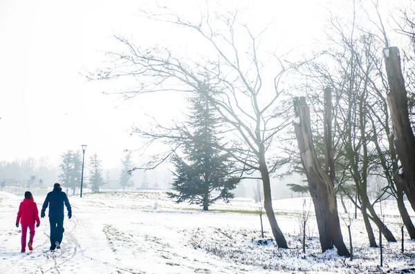 A girl and a man walking in snow in Amsterdam. — Stock Photo, Image