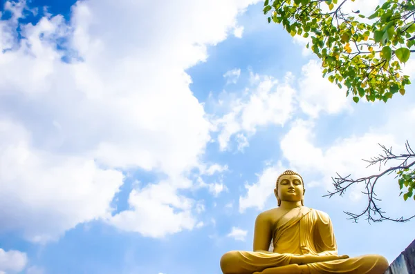 Friedliche goldene Buddhha-Statue im Seetempel Colombo, Sri Lanka — Stockfoto