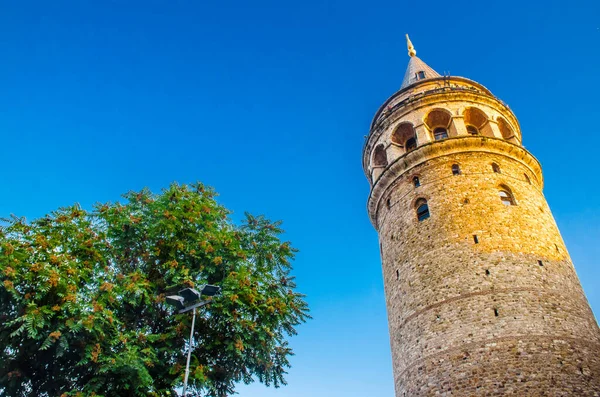 İstanbul 'daki Galata Kulesi, yeşil ağaç ve mavi gökyüzü arka planlı hindi.