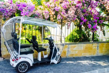 Duvarın kenarına park edilmiş bir bisiklet ve Türkiye 'nin Prince Island şehrinde güzel çiçeklerle kaplı bir çit..