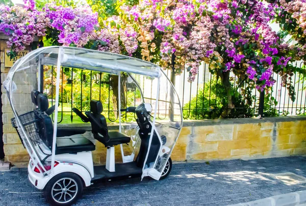 Duvarın kenarına park edilmiş bir bisiklet ve Türkiye 'nin Prince Island şehrinde güzel çiçeklerle kaplı bir çit..