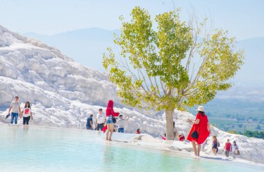 People walking over at Pamukkale in Turkey with an isolated tree in the background clipart