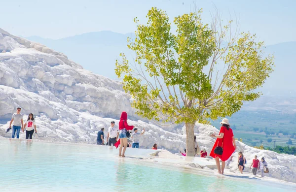 A törökországi Pamukkale-ban sétáló emberek egy elszigetelt fával a háttérben — Stock Fotó