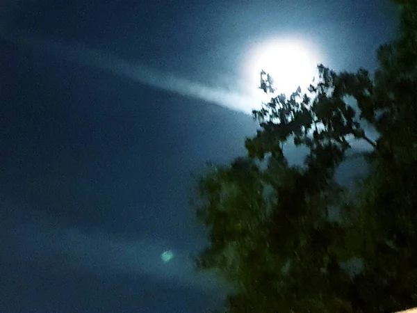 Luna Llena Con Luz Llena Noche Con Una Rama Árbol —  Fotos de Stock