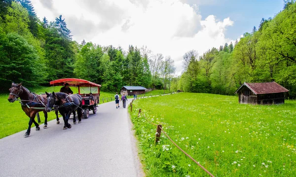 Almanya 'nın Garmisch şehrinde at arabası yolcuları yokuş yukarı taşıyor.