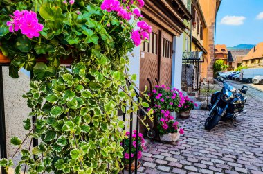 A motor bike parked on the side of a wall with lot of flowers in France
