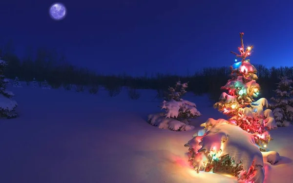 Christmas Tree Beautiful Festive — Stock Photo, Image