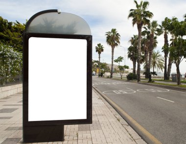Şehir merkezindeki yol üzerinde palmiye ağaçları olan ilan panosu.