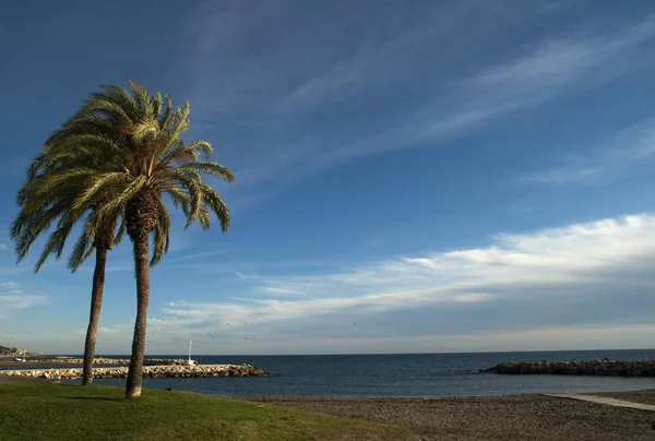 Krásná Fotografie Malaga Městských Pláží Lázněmi Pozadí Kameny Stromy Palmy — Stock fotografie