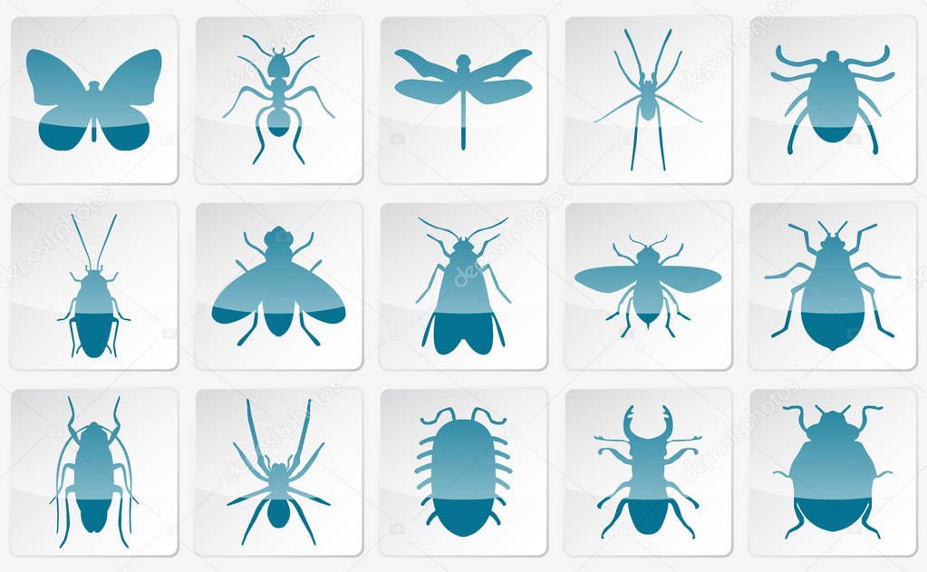 Blue vector insects