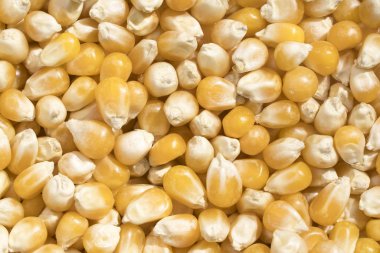 Closeup görünümü ve bazı Mısır taneleri paterni