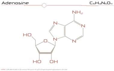 Adenozin molekülünün