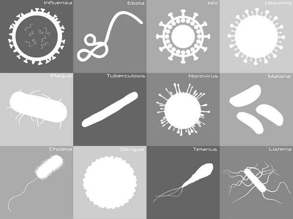 Stor Och Detaljerad Ikonuppsättning Olika Bakterier — Stock vektor