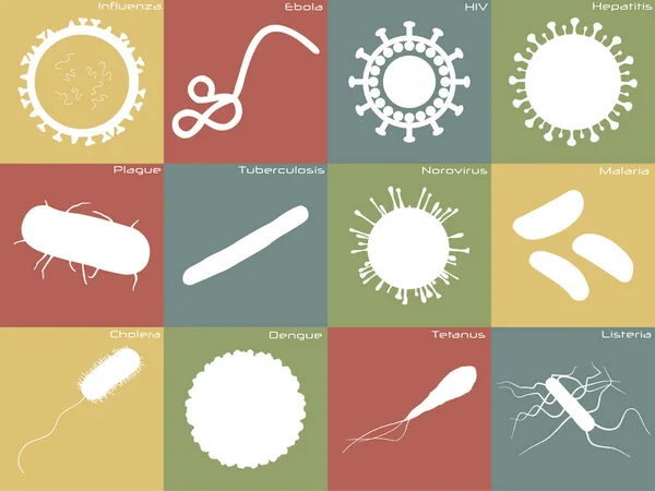 세균의 자세한 아이콘 — 스톡 벡터