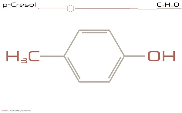 Велика Деталізована Інфографіка Молекули Крезолу — стоковий вектор