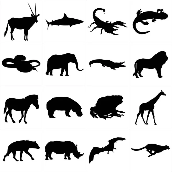 Großes Und Detailliertes Symbolset Verschiedener Afrikanischer Tiere — Stockvektor
