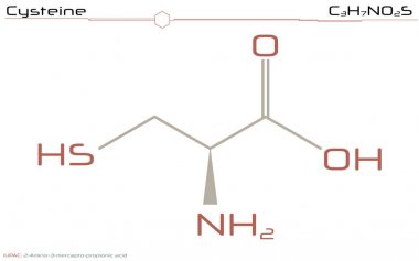 Büyük ve ayrıntılı Infographic sistein molekülünün