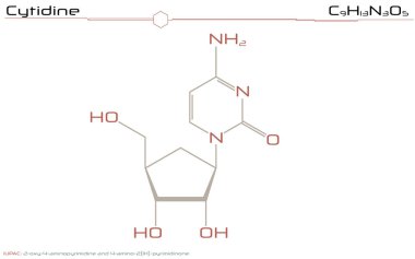 Büyük ve ayrıntılı Infographic sitidin molekülünün